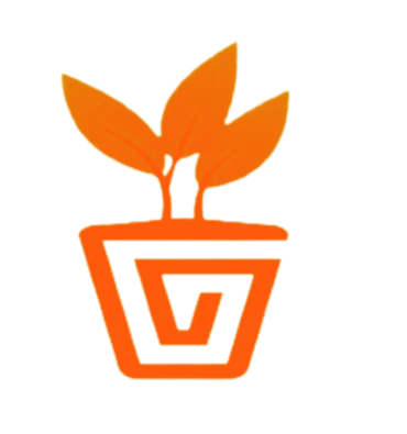 Category Image