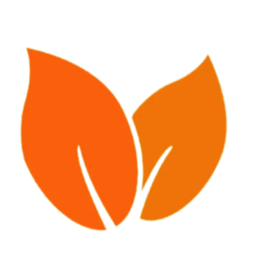 Category Image