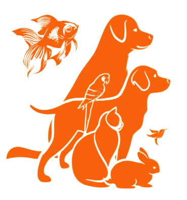 Category Image