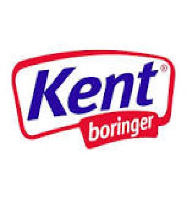 Kent Boringer